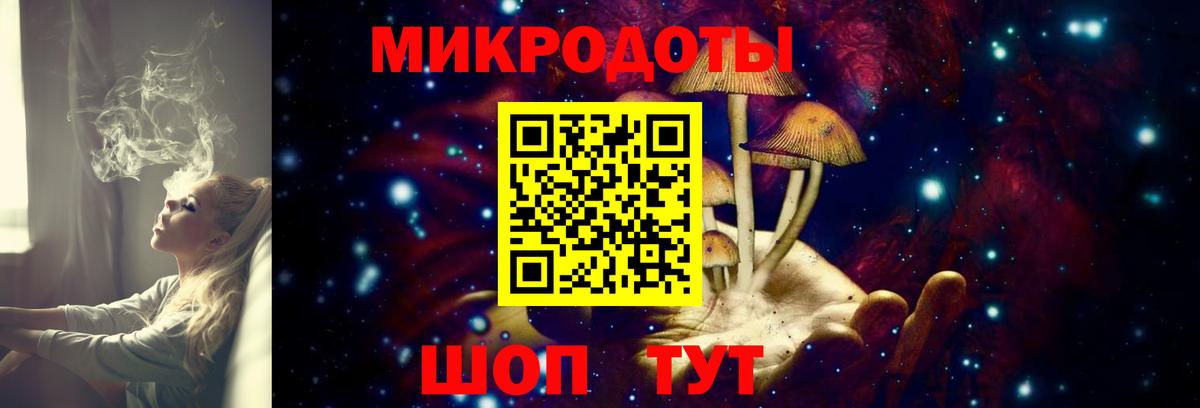 Саратов  Галлюциногенные грибы Psilocybe  даркнет сайт  Вход с VPN 